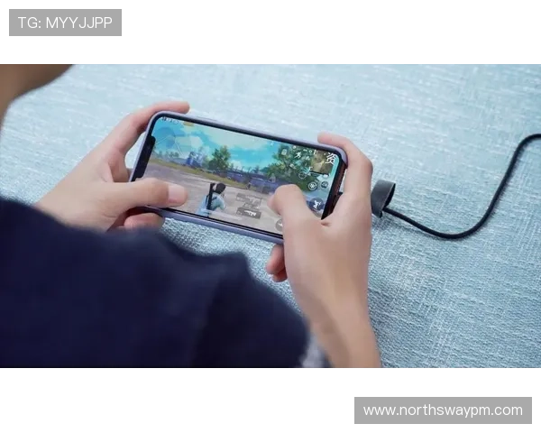 皇冠K8视讯与多家知名品牌合作推出丰富游戏内容满足不同用户的多样化需求