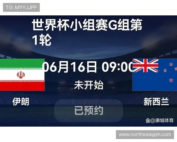 伊朗与新西兰世界杯比赛全场回放详细录像及关键战术解析