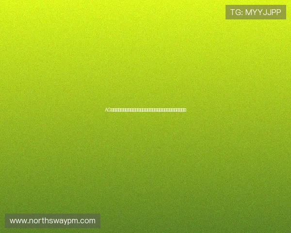 AG厅总部登录入口助力用户快速获取世界杯最新赛事资讯与实时比分分析